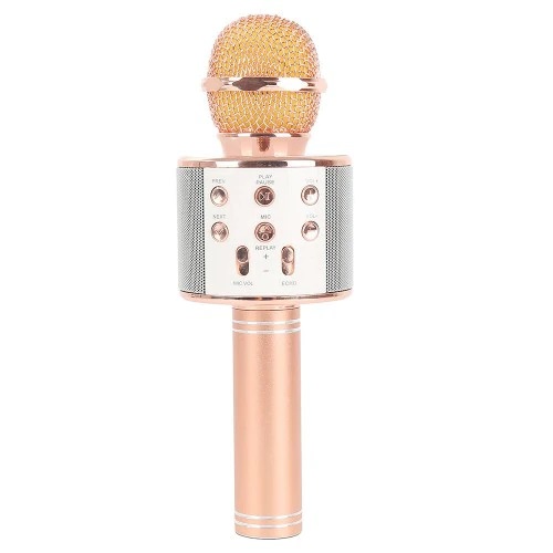 Karaoke microphone for MC announcements