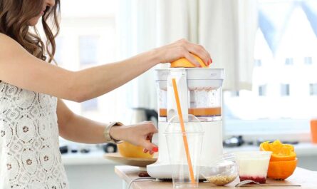 TOP Best Citrus Juicers