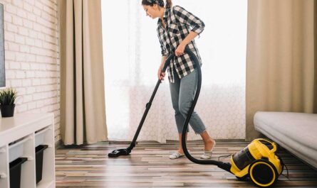 TOP Best Bagless Vacuum Cleaner