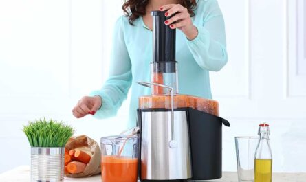 TOP Best Centrifugal Juicers